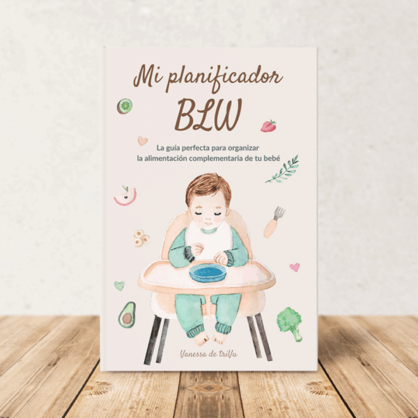 alimentación complementaria